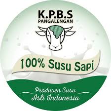 Logo PT SKP